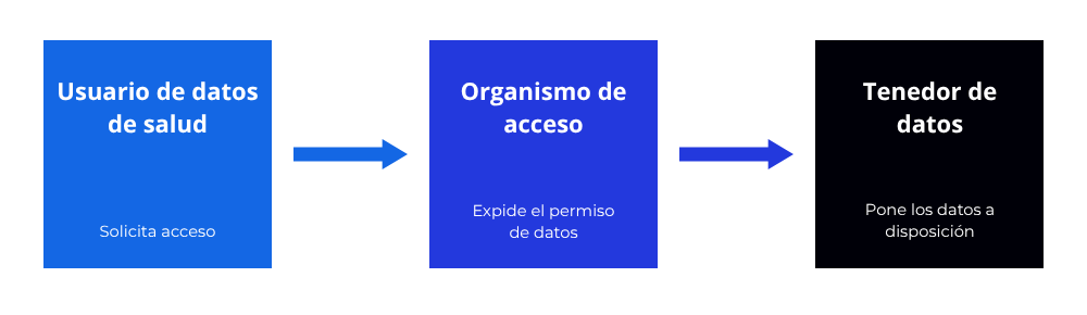 Los tres papeles del Reglamento del EEDS - BertIA